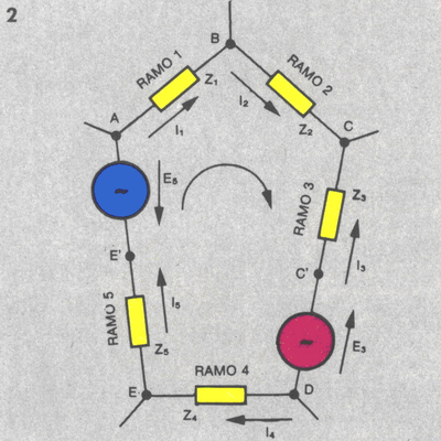 maglia