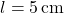 \( l = 5 \, \text{cm} \)