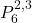  P_6^{2,3} 
