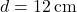 \( d = 12 \, \text{cm} \)
