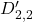 D'_{2,2}