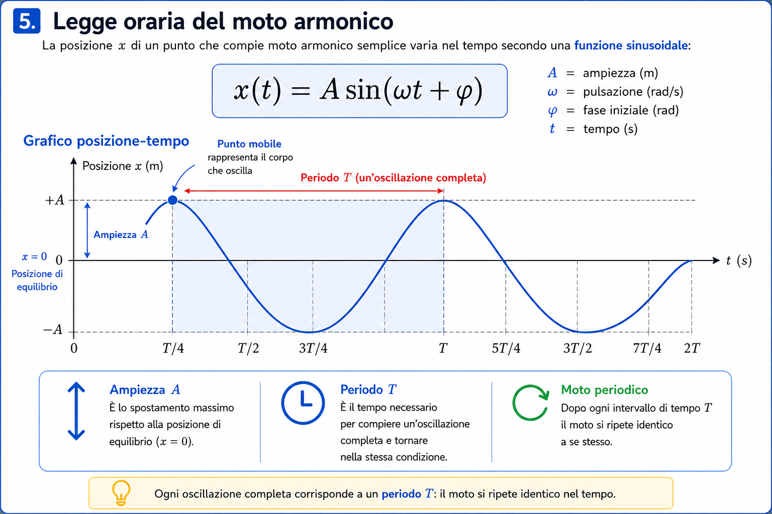Nel moto armonico semplice la posizione varia nel tempo secondo una funzione sinusoidale. L'ampiezza rappresenta il massimo spostamento dalla posizione di equilibrio, mentre il periodo è il tempo necessario per completare un'oscillazione e tornare nelle stesse condizioni iniziali.